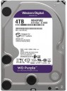 WD 4 GB HDD (4TB WD Purple Surveillance 3.5 " Sata Hard Drive ( For DVR / NVR) WD40PURZ)