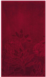 Glodina (30 cm x 50 cm) Kirstenbosch Cotton Guest Towel