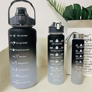 SUNSHINE MAKRO visual data 8