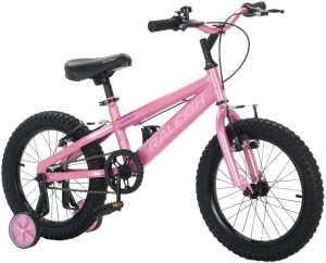 Raleigh Game Bicycles Kids Raleigh Matrix Inch Makro
