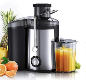 Juicer (WGYI) JH-3028 (1000w) 1000 W Juicer Mixer Grinder (2 Jars, Silver)