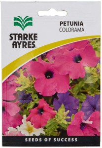 Starke Ayres Grass Seed