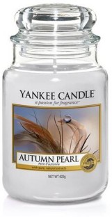 Yankee 5038581047386 Autumn Pearl Jar Candle