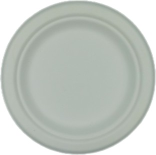 Healthy Life Products Sugarcane Plate Eco Disposable - 15cm - Pack of 100 Dinner Plate