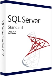 Microsoft SQL 2022 Standard 16 Core - 10 User CAL