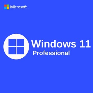Microsoft Windows 11 Professional