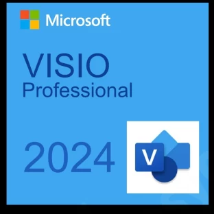 Microsoft Visio Professional 2024 (2 users) - Bundle Deal!