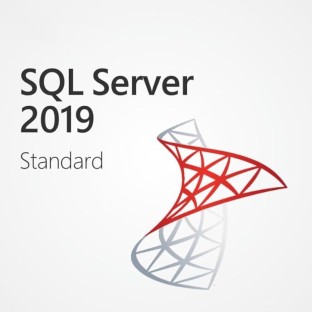 Microsoft SQL Server 2019 Standard - Includes Keycard