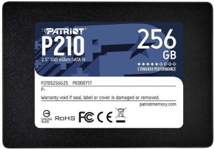 Patriot 256 GB SSD (P210S256G25)
