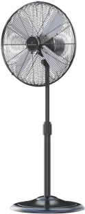 Bennett Read BRMN8 40.05 cm Pedestal Fan