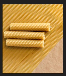 BeeGlow 10 Beeswax Foundation Sheets Garden Tool Kit