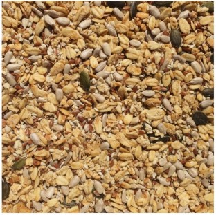 CoolGoodies Granola Seed Mix Bag