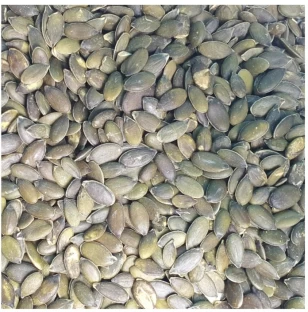 CoolGoodies Pumpkin Seed