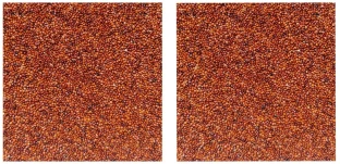 CoolGoodies Red Quinoa Seed