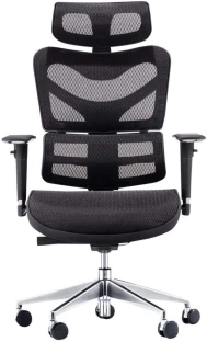Koga Ergo Human Office Adjustable Arm Chair