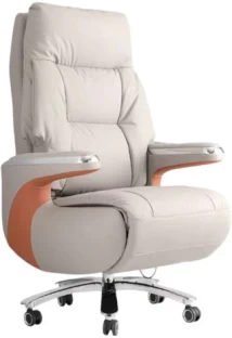 WOODLY Automatic Executive High Back Reclining Office Chair Office Executive Chair
