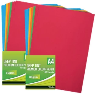 Freelin A4 80 gsm Coloured Paper