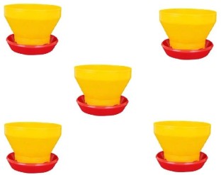 Pleysier 10 Kg Chicken Feeders -Pack of 5 Plastic Pet Bowl & Bottle