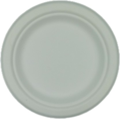 Healthy Life Products Sugarcane Plate Eco Disposable - 15cm - Pack of 100 Dinner Plate