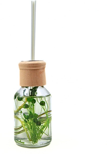 Love In Life Fresh Diffuser