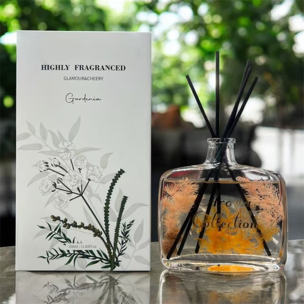 GLAMOUR & CHEERY Diffuser Portable Car Dehumidifier