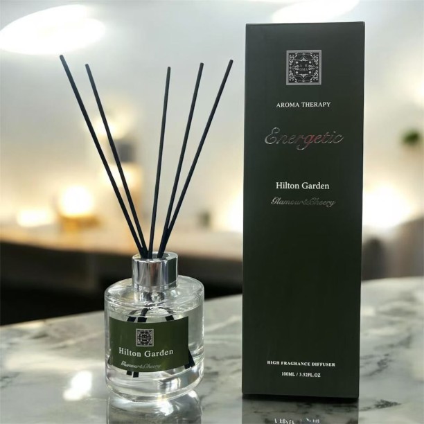 Aroma Therapy Diffuser Portable Car Dehumidifier