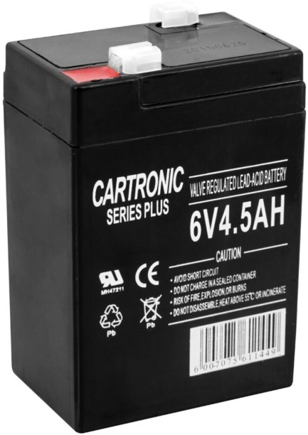 Cartronic 4.5Ah 6V Battery 4.2 A E-bike Charger with Detachable Cable