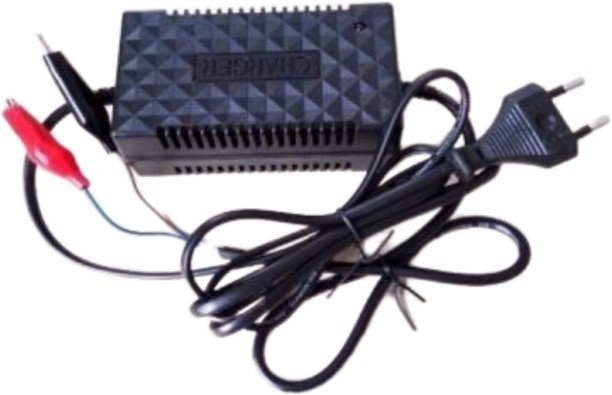 AOITS 12V 2A Intelligent Pulse Charger Multiport E-car Charger with Detachable Cable