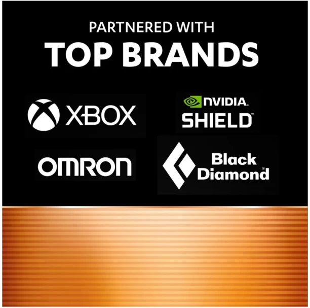 Duracell Plus AAA Power Boost 20 pack Alkaline  Battery