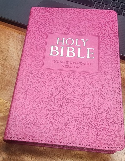 ESV Pink Bible Faux Leather by ESV Pink Bible Beautifully Designed