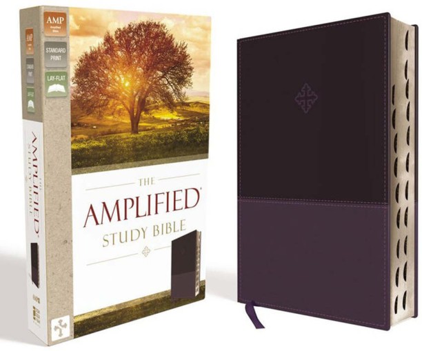 Amplified Study Bible Purple (Imitation Leather With Thumb Index) by N;A