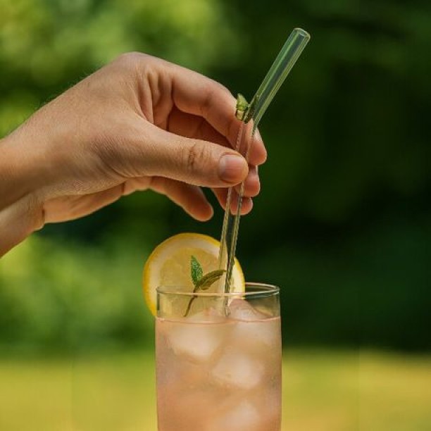 top sale trader 5 Piece - Transparent Glass Straw With Butterfly Accent 8.6 ml Sipper