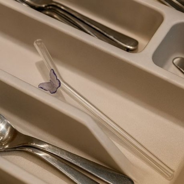 top sale trader 5 Piece - Transparent Glass Straw With Butterfly Accent 8.6 ml Sipper