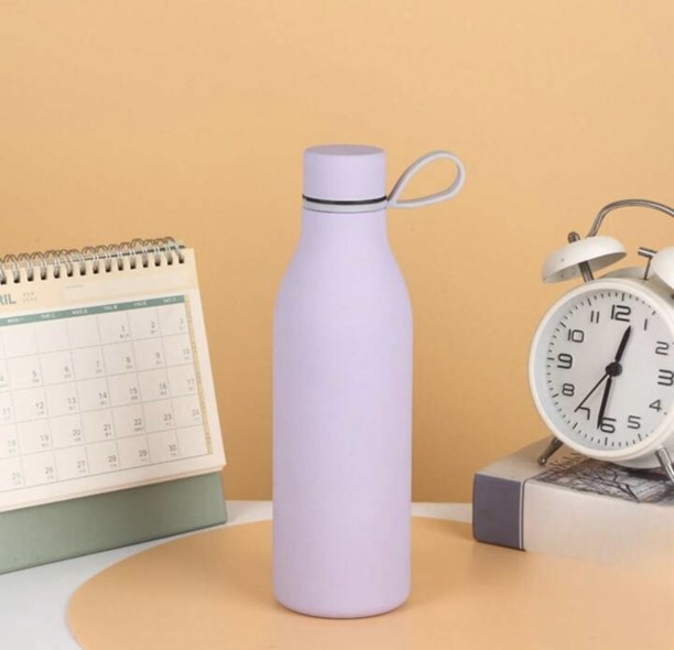 Soft Chic 500ml Stainless Steel Water Bottle 500 ml Bottle