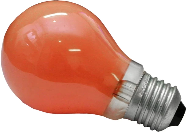 Alphacell 60 W Standard Incandescent Bulb