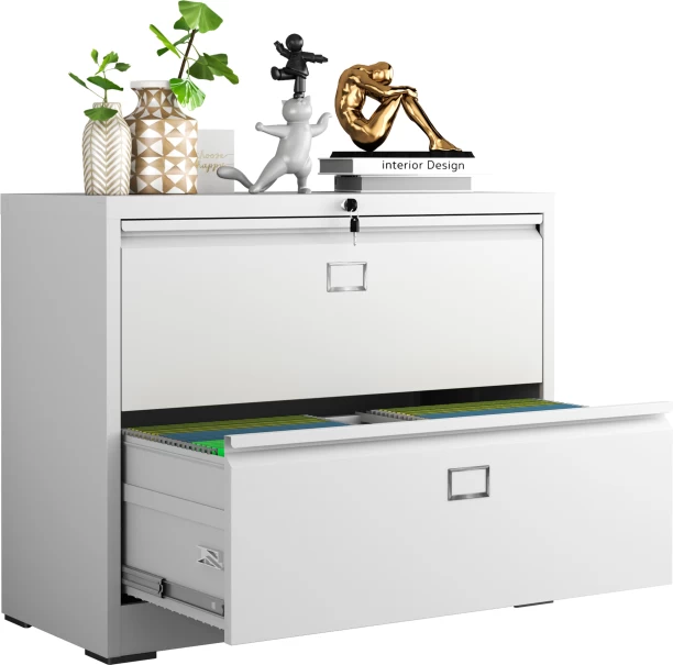 Steel Furniture Warehouse Steel Lateral 2 Drawer Swan Handle Filing Cabinet Cupboard Locker With Card Slots - White Metal Free Standing Locker