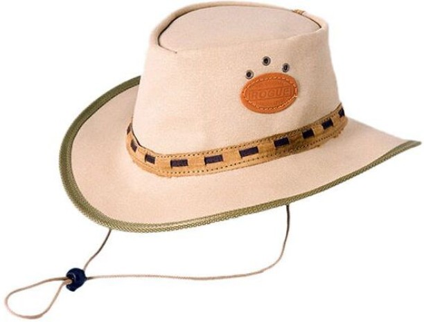 Rogue Trucker Cap For Men & Women