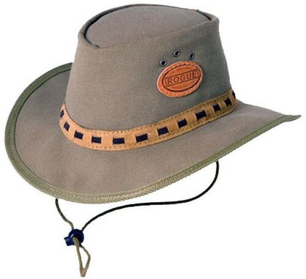 Rogue Trucker Cap For Men & Women