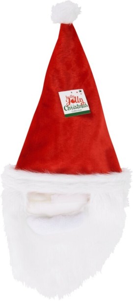Excellent Houseware Santa Cap For Kids