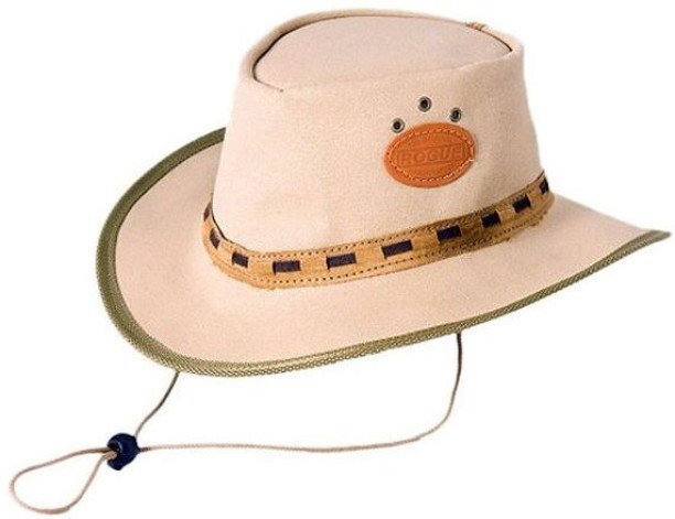 Rogue Trucker Cap For Men & Women