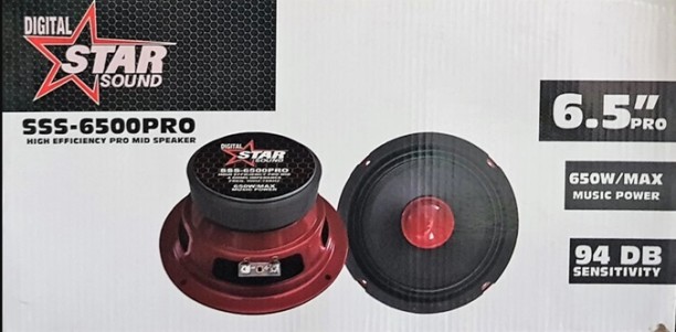 Starsound SSS-6502PRO Coaxial Door Mounted Round Car Speaker