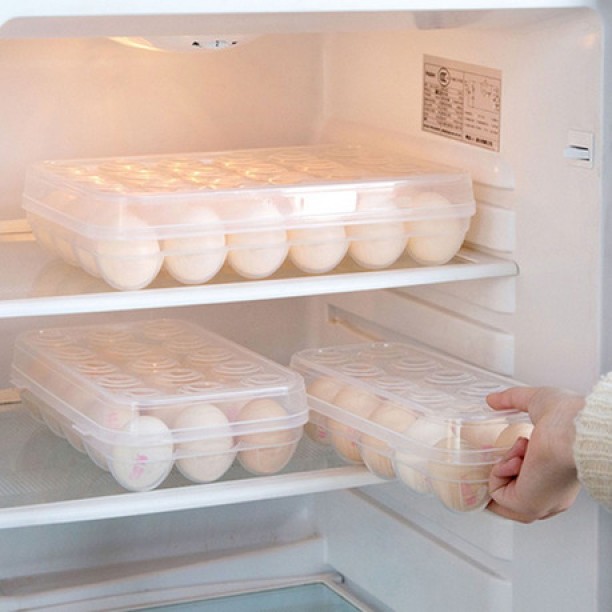 SA TRADE Plastic Egg Container  - 0 ml