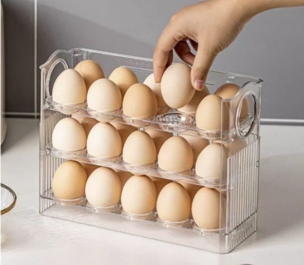Homeyfinds Plastic Egg Container  - 1000 ml