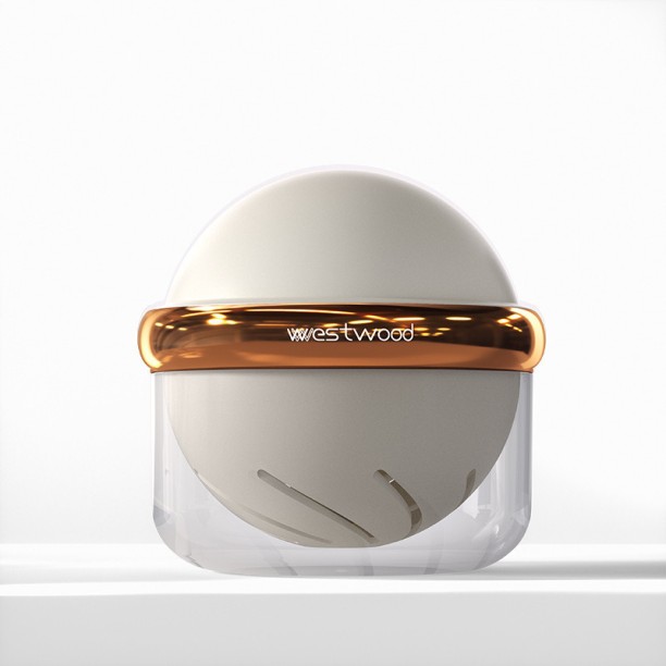 WESTWOOD Lemon Flavoured Denture Rinse