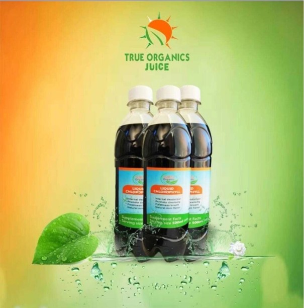 TRUE ORGANICS LIQUID CHLOROPHYLL JUICE