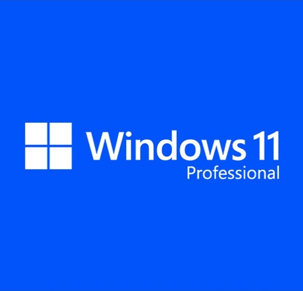 Windows 11 Professional – Retail Keycard with Installation Media