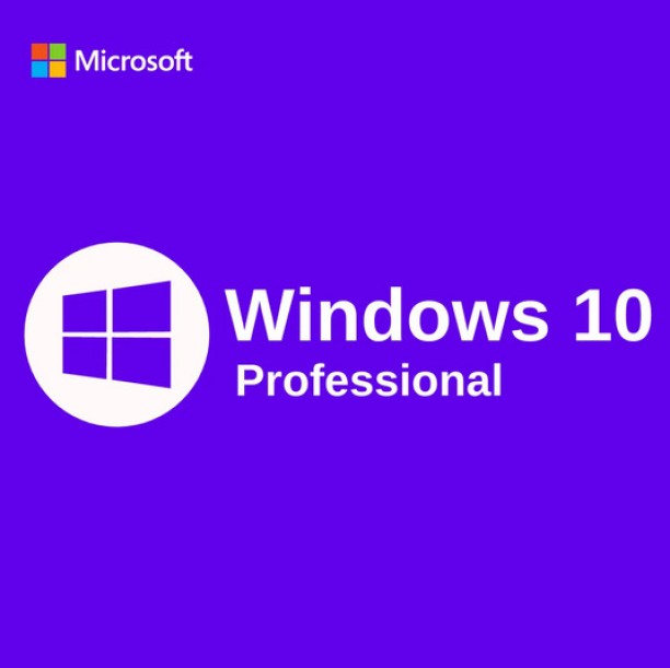 Microsoft Windows 10 Professional