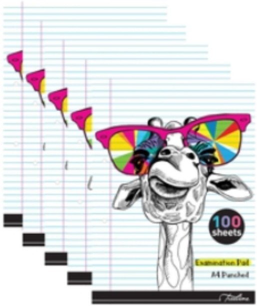 Treeline Exam Pads 100 Sheet Feint & Margin - Punched Examination Pad