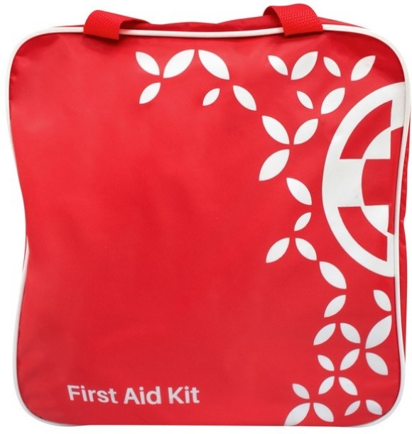 Charms First Aid Kit in Bag Small First Aid Kit