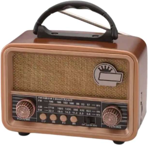 NNS NS-8110BT Battery Operated Bluetooth Speaker FM Radio